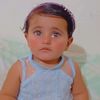 Shereen Darwish - @shereendarwish0 - TikTok