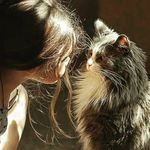 Shereen Ibrahim - @shereen5745 - Instagram