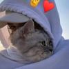 Shereena - @shereenibrahim37 - TikTok