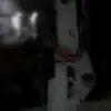 Shereen Mohammad - @shereen.mohammad3 - TikTok