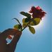 Shereen Mohammad - Facebook