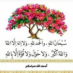 Shereen Mohammad - @shereen.mohammad.9849 - Instagram