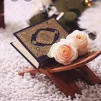 Shereen Salem - Facebook