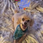 Sheri Akers - @sakers1128 - Instagram