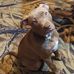 Sheri Allen - Facebook