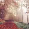 sheribarber116 - @sheribarber116 - TikTok
