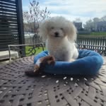 Sheri Barrett - @sheridbarrett - Instagram