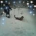 Sheri Beach - Facebook