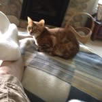 Sheri Beasley - @thomassinger70447 - Instagram