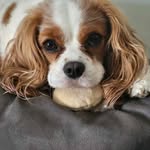 Sheri L Dodds Beasley - @sheri.doddsbeasley.9 - Instagram