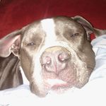 sherry belcher - @kylee061303 - Instagram