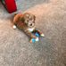 Sherri Best - Facebook