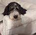 Sheri Ostreicher Brenner - Facebook