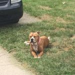 Sherri Brenner - @sherribrenner - Instagram