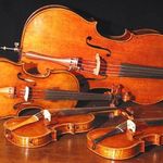 Sheri Cain - @psm_orchestras - Instagram