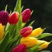 Sherin Cool - Facebook
