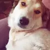 Sheri Cooley - @sheri.cooley5 - TikTok