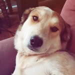 Sheri Cooley - @sherikcooley - Instagram