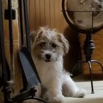 Sheri Dickey - @sherid5137 - Instagram