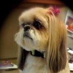 Sheri Dickey - @azsherid - Instagram