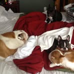 Sheri Dodge - Facebook