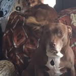 Sherri Dodge - @cpmom1991 - Instagram