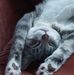 Sherry Dotson - Facebook