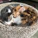 Sheri Elder - Facebook
