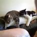 Sheri Elliott - Facebook