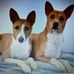 Sheri Erickson - Facebook