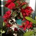Sheri Erickson - Facebook