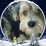 Sherry Ernst - @sherry.ernst - Instagram