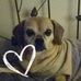Sheri Flack - Facebook