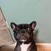 Sherry Flack - Facebook