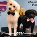 Shari Granger - Facebook