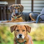 Sheri Helman - @sheri.helman.3 - Instagram