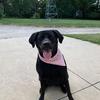 Sheri Howe - @momma.sheri10 - TikTok