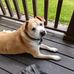 Sheri Hull - Facebook