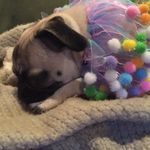 Sheri Hull - @sherimochi - Instagram