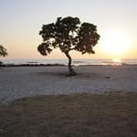 Sharon Sheri Kaiser - @skaiser2016 - Instagram