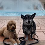 Sheri Long - @sherilong2135 - Instagram