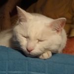 Sheri Mcdaniel - @sheri.c.mcdaniel.7 - Instagram