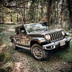Sheri Meyer - @shermeyer63 - Instagram