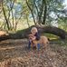 Sheri Meyer - Facebook