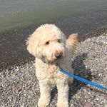 Sheri Meyer - @sherijo99 - Instagram