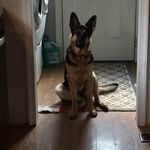 Sherry Lynn Oswald - @sherryoswald - Instagram
