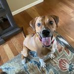 Sherry Oswald - @sherryannemayberry - Instagram