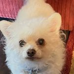 Sheri Patton - @patton.sheri7081 - Instagram