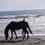 Sheri Pepper - @sheri.pepper - Instagram