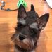 Sheri Phillips - Facebook